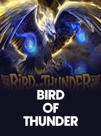 Game Bird of Thunder Terpercaya dengan Fitur Terbaik game cover